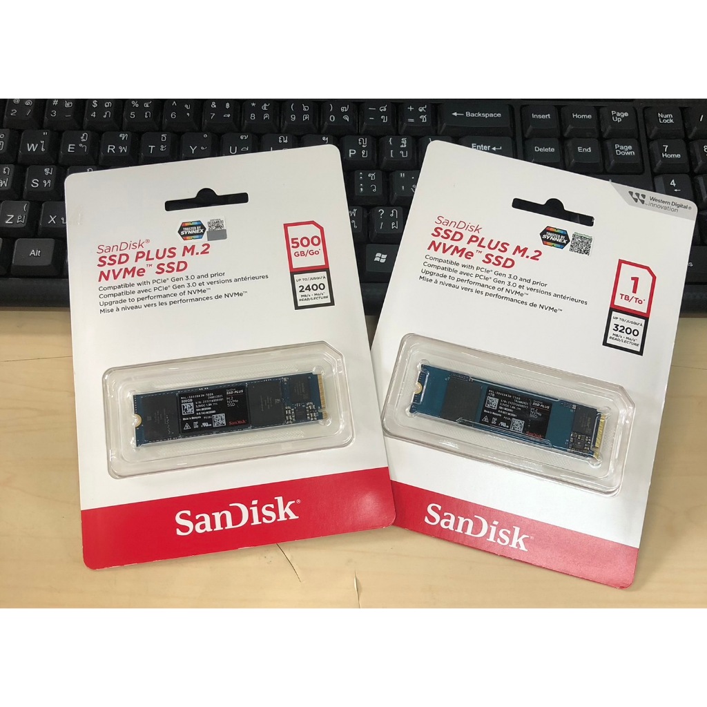 อุปกรณ์เก็บสำรองข้อมูล SanDisk SSD PLUS M.2 NVMe™ SSD 500 GB/1 TB
