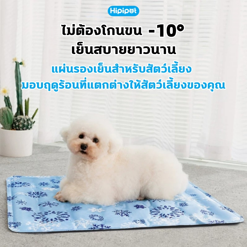 furfriends เบาะน้ำคลายร้อนสัตว์เลี้ยง แผ่นรองเย็นสุนัขแมว เบาะเย็นเติมน้ำได้  ที่นอนหมา ที่นอนแมว แผ่นเจลเย็น เจลเย็นแมว