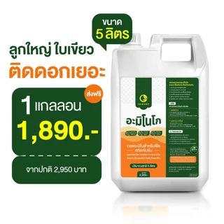 (1แกลลอน) อะมิโนโก ขนาด 5 ลิตร - AMINO GO กรดอะมิโนสำคัญต่อพืช 19 ชนิด ปุ๋ยน้ำ ปุ๋ยกุหลาบ เร่งราก