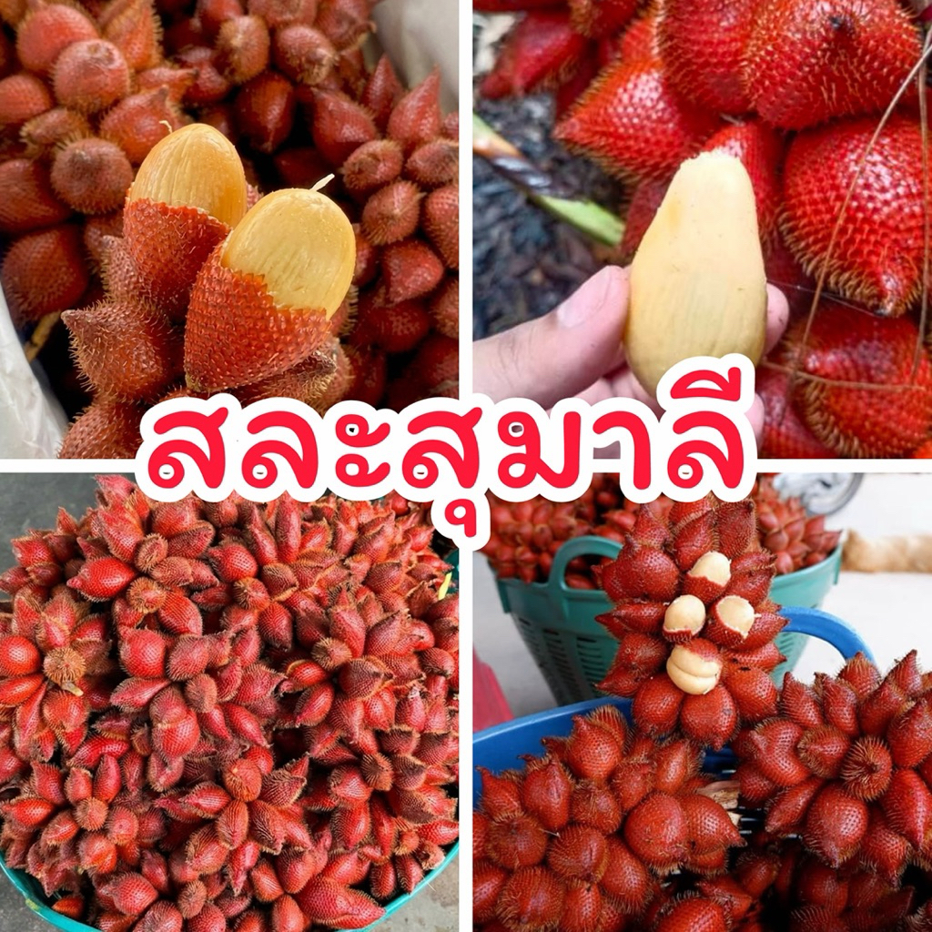 สละสุมาลี 2 กิโล สดๆจากสวน หอม อร่อย (ส่งแบบช่อเมื่อถึงอาจจะมีร่วงบ้างนะครับ)