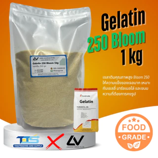 Gelatin 250 Bloom (China) : เจลาติน 250 บูม (จีน) 1kg
