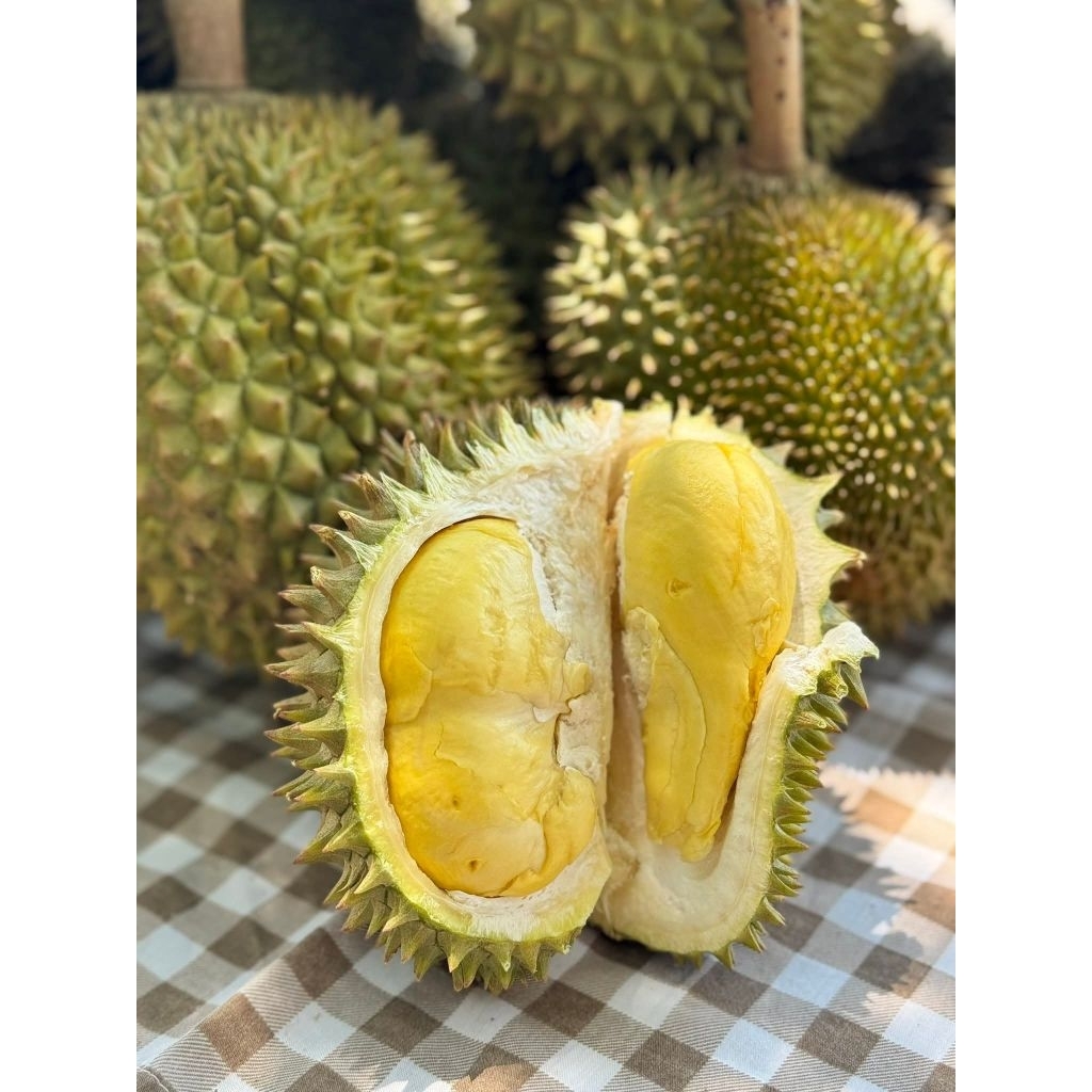 ทุเรียนหลงลับแล ตัดแก่จัด ของแท้จาก อุตรดิตถ์ เนื้อเนียน เปลือกบางๆ รสชาติหวานๆ หอม นุ่ม ละมุนลิ้น อร่อยมาก
