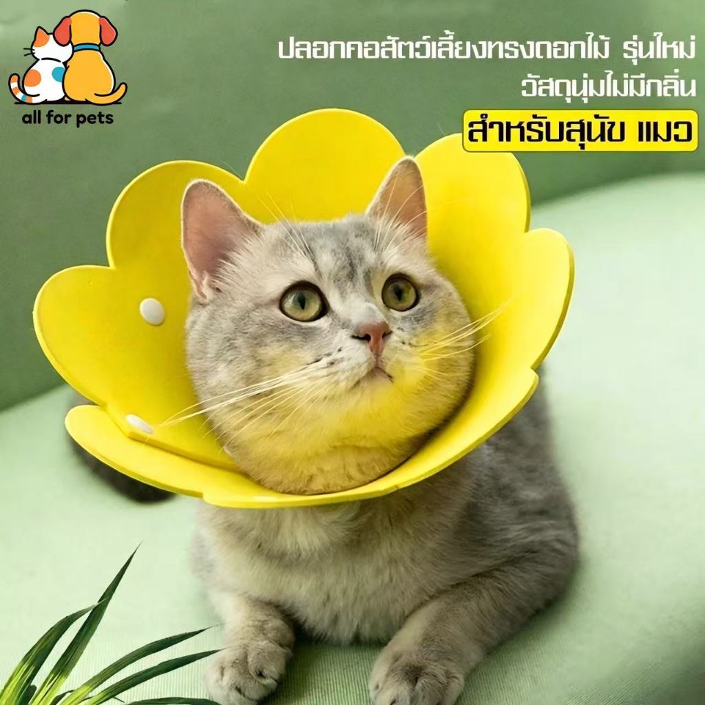 เตรียมจัดส่ง ปลอกคอกันเลีย คอลล่าแมว ปลอกคอสุนัข ป้องกันการเลียแผลนุ่มนิ่มใส่สบาย ปลอดสารพิษ