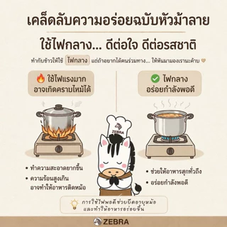 ZEBRA ชุดหม้อหุงต้ม Tiger 4 ชิ้น ประกอบด้วยหม้อหุงต้ม รุ่นTiger ขนาด26ซม/20ซม ทรงสูง ตราหัวม้าลาย