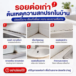 กันน้ำ กันเชื้อรา กาวยาแนว 250g ยาแนวกระเบื้อง กาวยาแนวกระเบื้อง ยาแนวห้องน้ำ ใช้ง่าย สูตรกันน้ำ บีบใช้งานได้ทันที ขนาด