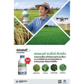 ลอแยนต์ ขนาด 800 ซีซี ฟลอร์ไพรอซิเฟน-เบน สารใหม่ กำจัดหญ้าใบแคบ ใบกว้าง กก หญ้าข้าวนก หญ้าแดง ผักปอด หนวดปลาดุก ข้าวไม่แ