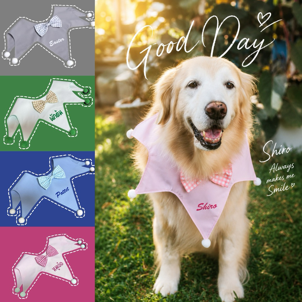 Ha-Shi SHOP ปลอกคอสุนัขพันธ์ใหญ่ ปลอกคอทรงปลาดาว ติดชื่อฟรีกรุณาแจ้งชื่อทางแชท