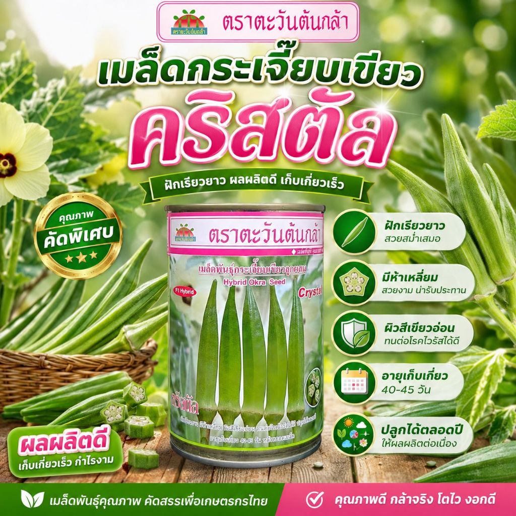 เมล็ดกระเจี๊ยบเขียว คริสตัล ตราตะวันต้นกล้า ขนาด100กรัม Okra เมล็ดพันธุ์ผัก เมล็ดพันธุ์กระเจี๊ยบ
