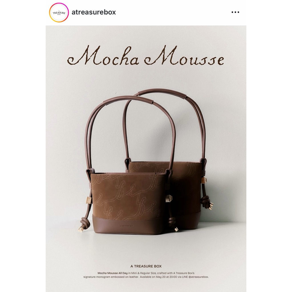 🤎 MOCHA MOUSSE  MINI ALL DAY 👜