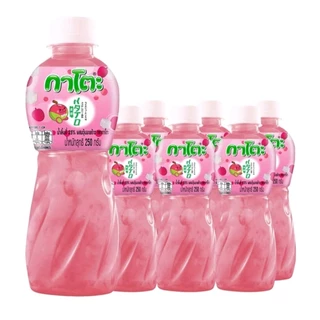 กาโตะ​ Kato น้ำผลไม้ผสมวุ้นมะพร้าว 250 กรัม แพ็ค 6 ขวด คละรสได้ สินค้าใหม่✨​พร้อมส่ง🔥​