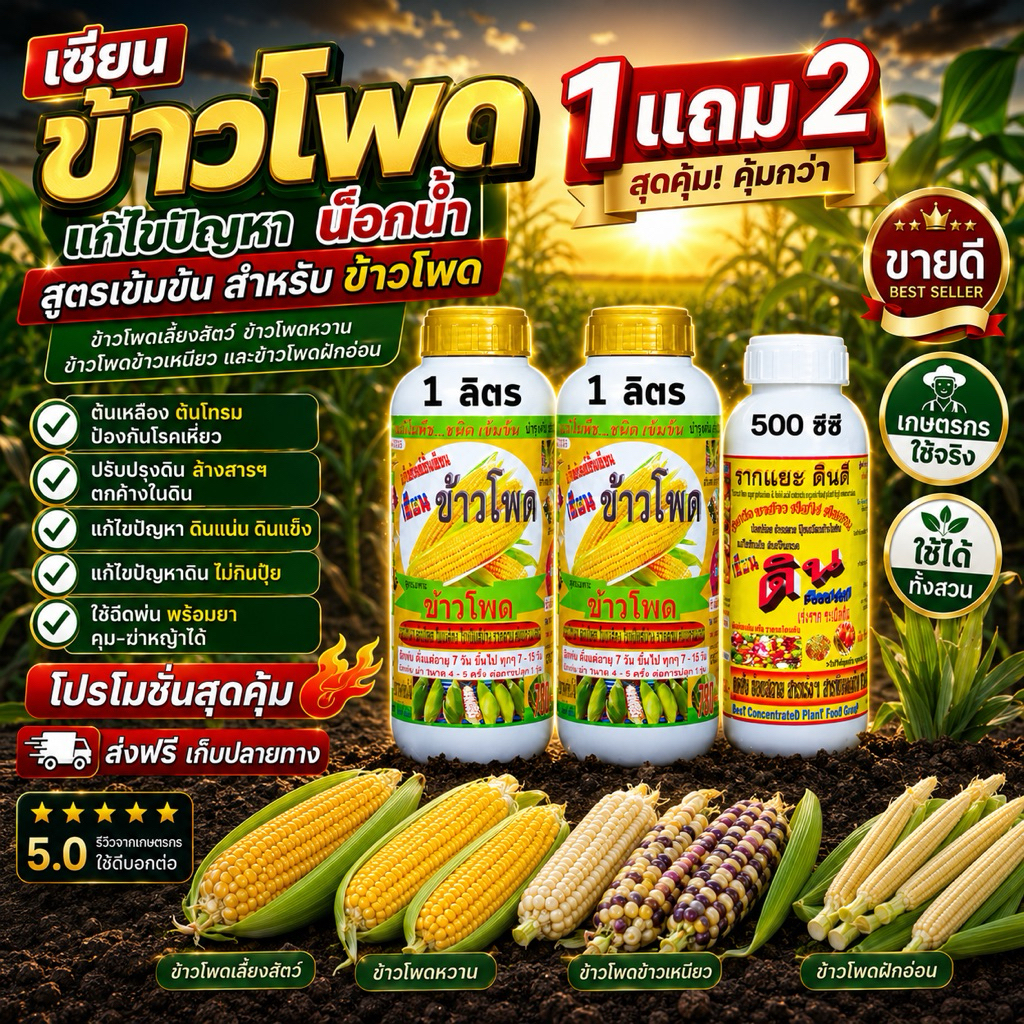 เซียนข้าวโพด 1 แถม 2 เซียนดิน เพิ่มพลังการดูดซึม นำพาสารอาหาร