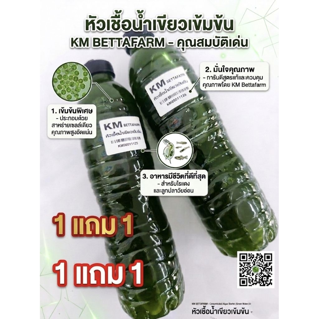 [1แถม1]หัวเชื้อน้ำเขียวเข้มข้น 600ml สาหร่ายคลอเรลล่า สำหรับเลี้ยงไรแดง
