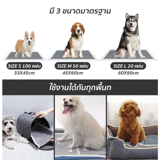 Petcho Training Pads แผ่นรองซับ แผ่นฝึกขับถ่ายสัตว์เลี้ยง กลิ่นชาโคล กลิ่นหญ้า ดับกลิ่นดีเยี่ยม