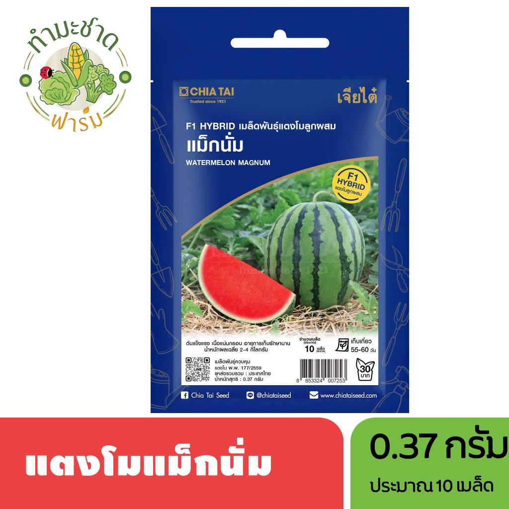 เจียไต๋ (Easy) เมล็ดพันธุ์ แตงโมไร้เมล็ด แม็กนั่ม ขนาด0.37กรัม ประมาณ10เมล็ด Watermelon แตงโม เมล็ดพันธุ์พืช เมล็ดผัก