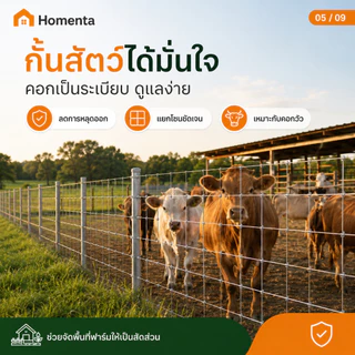 รั้วถักปม รั้วตาข่ายแรงดึง ยาว 30m/50m ลวดตาข่ายถักปม วัสดุชุบสังกะสี ลวดเหล็กล้อมรั้ว ไร่สวนวัว แพะ