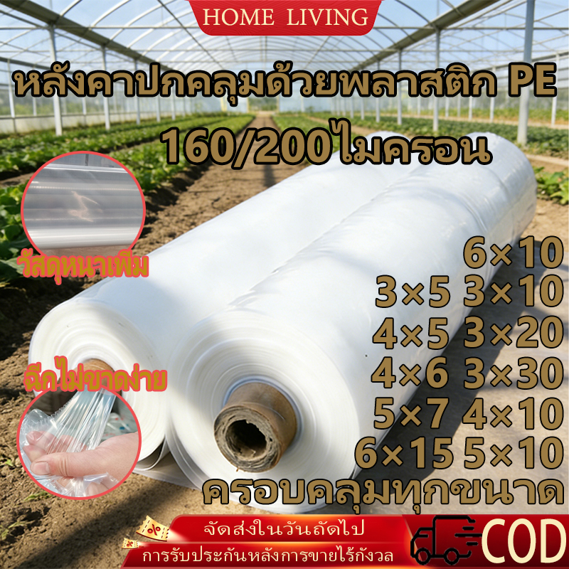 COD พลาสติกคลุมโรงเรือน PE กันฝน กันUV9% หนา160-200ไมครอน ขนาด3x6 4x8 5x10 6x20ม.ทนทานทุกสภาพอากาศ ใช้คลุมโรงเรือนปลูกผั