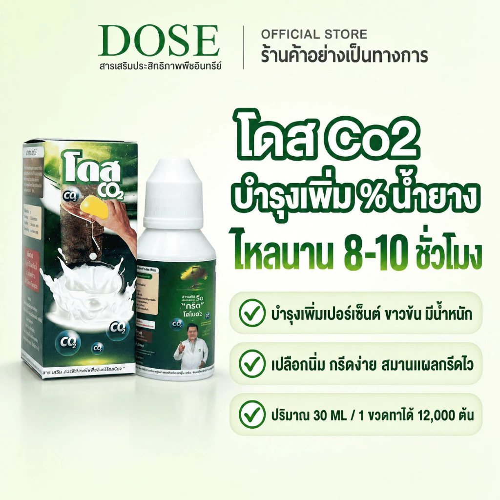 [ร้านค้าบริษัท] หัวเชื้อเพิ่มเปอร์เซ็นยาง ขาวข้น [1ขวด] โดสซีโอทู Doseฮอร์โมนพืช