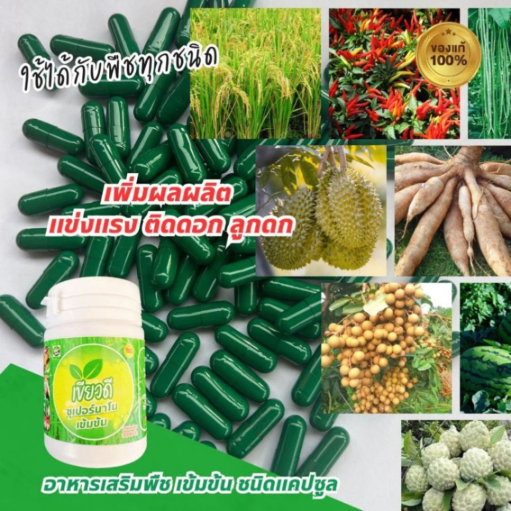 🌿เขียวดี ซุปเปอร์นาโน เข้มข้น บำรุงพืชทางใบชนิดแคปซูล สูตรเข้มข้นพิเศษ ของแท้100% (1กระปุก 25 แคปซูล)