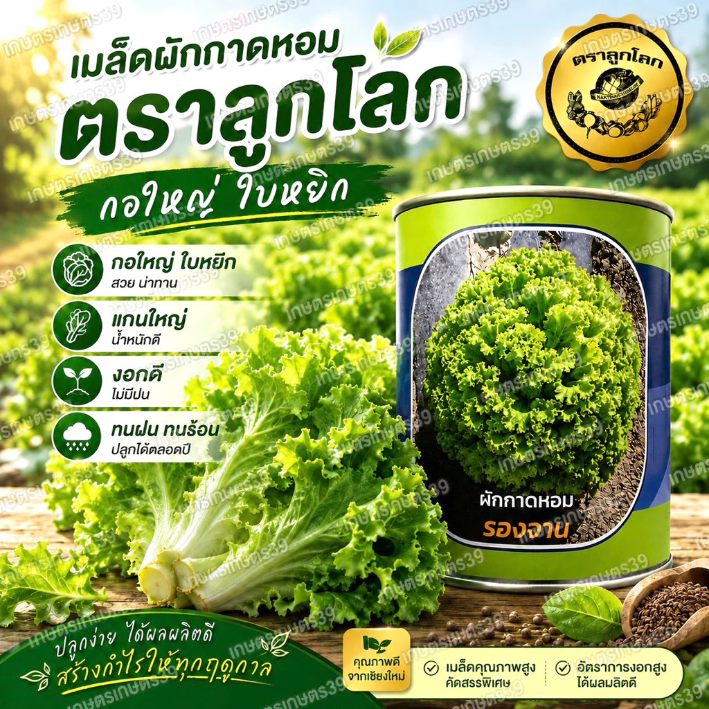 เมล็ดผักกาดหอม รองจาน ตราลูกโลก🌍🥬ขนาด400กรัม
