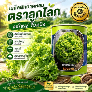 เมล็ดผักกาดหอม รองจาน ตราลูกโลก🌍🥬ขนาด400กรัม
