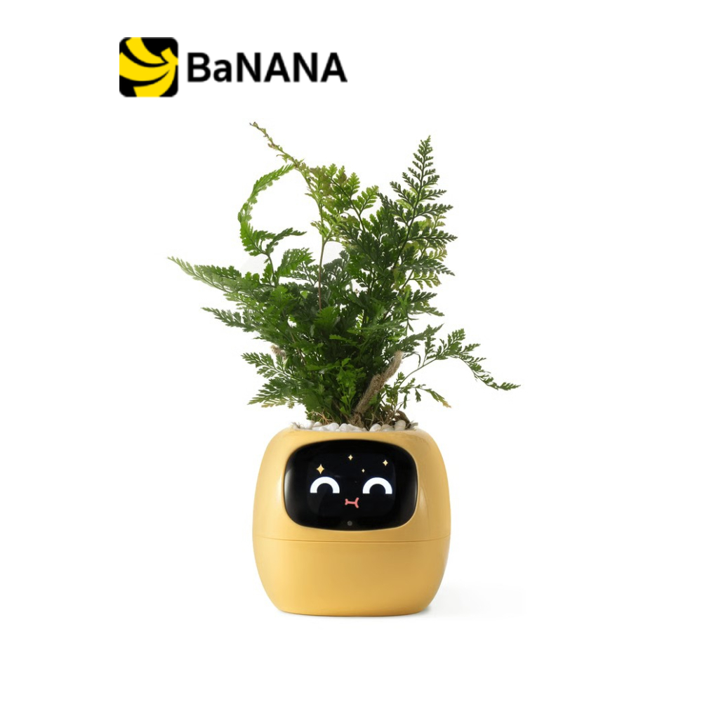 กระถางต้นไม้ PlantsIO Ivy Gen 2 Smart Planter by Banana IT