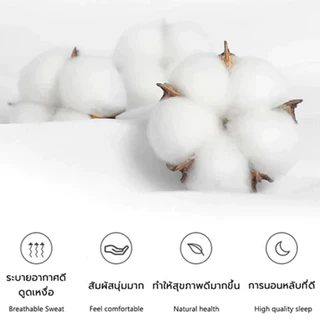 ปลอกหมอน ผ้าฝ้าย100% กันไรฝุ่น กันน้ำลาย กันเหงื่อ นุ่ม ขนาด 48X74 ซม.Pillow Case