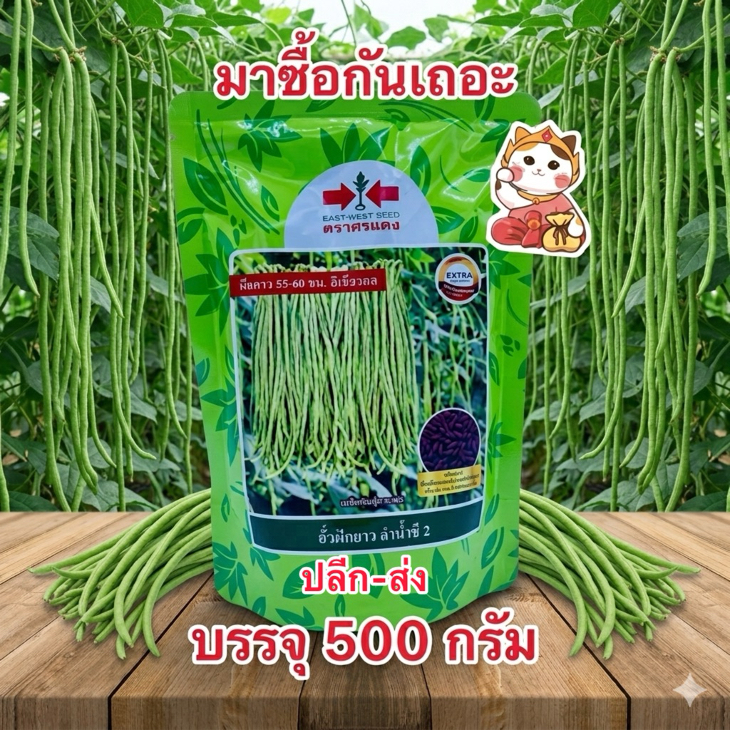 เมล็ดพันธุ์ ถั่วฝักยาว ลำน้ำชี2 ถั่วเนื้อ (สิ้นอายุ 08/70) ตราศรแดง บรรจุ500กรัม/ถุง