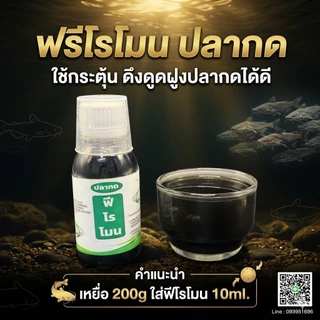 ฟีโรโมน ปลากด/ปลาแม่น้ำ ใช้กระตุ้น ดึงดูดฝูง (เหยื่อตกปลากด สินค้ากระแส)