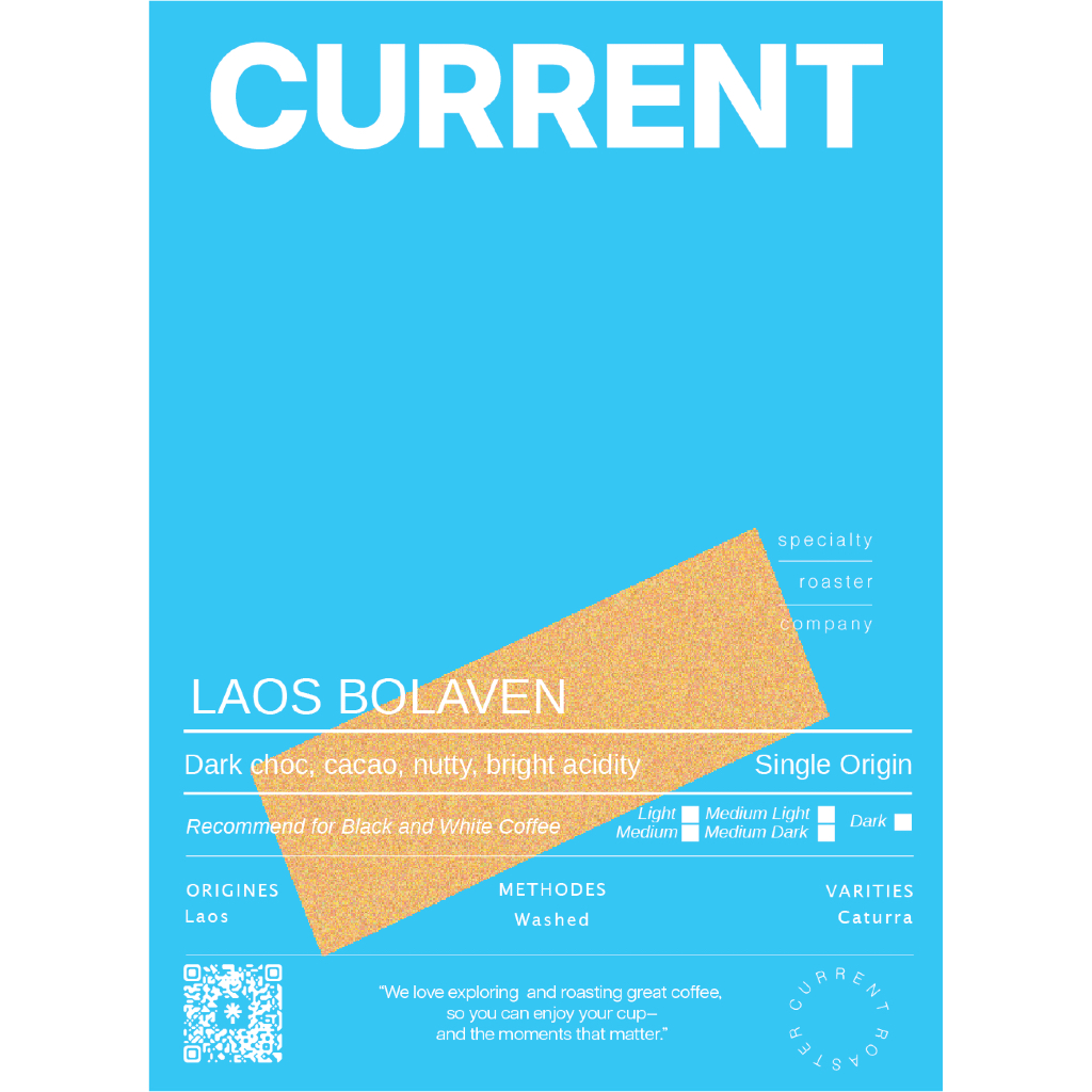 [SINGLE] Laos Bolaven เมล็ดกาแฟลาวโบลาเวน โทน Dark Choc | Cacao | Nutty | Bright Acidity