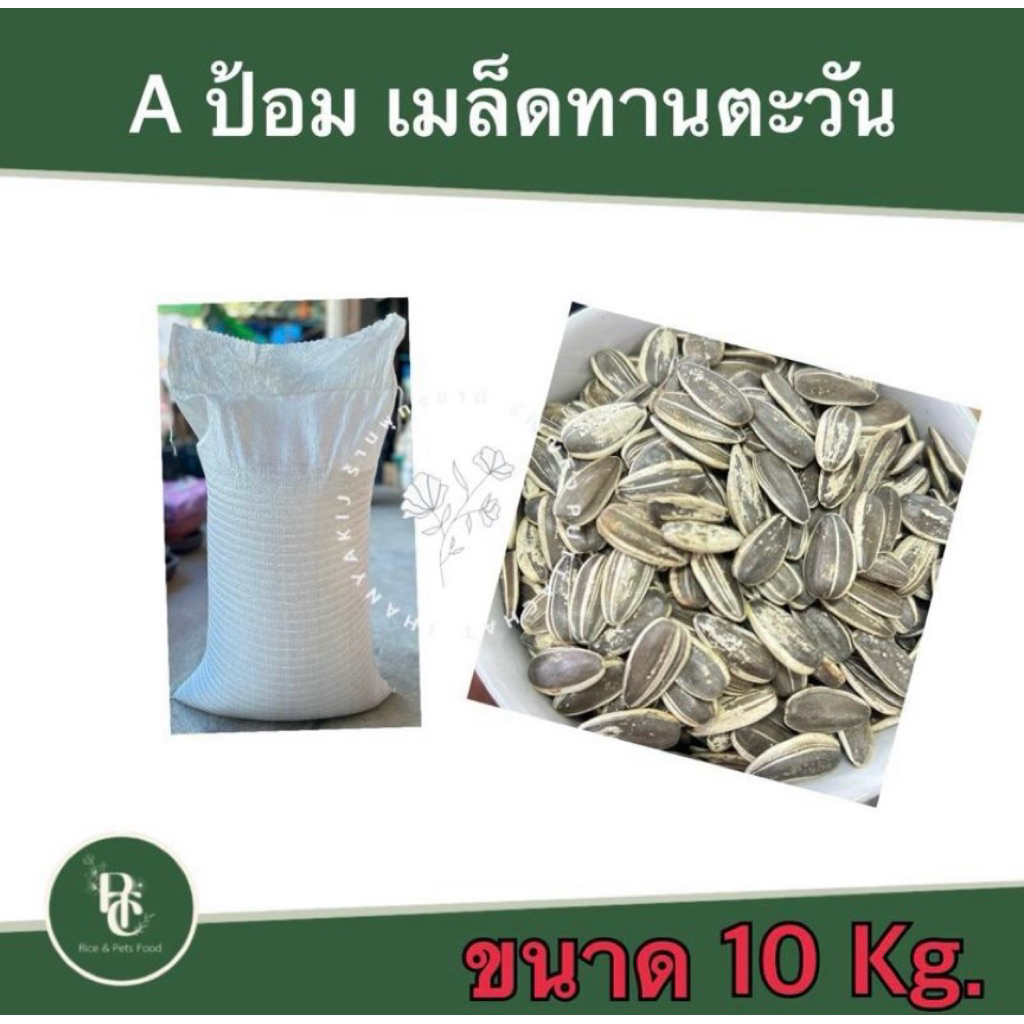 เมล็ดทานตะวัน Aป้อมสำหรับนกแก้ว แฮมสเตอร์ ขนาด 10 kg.