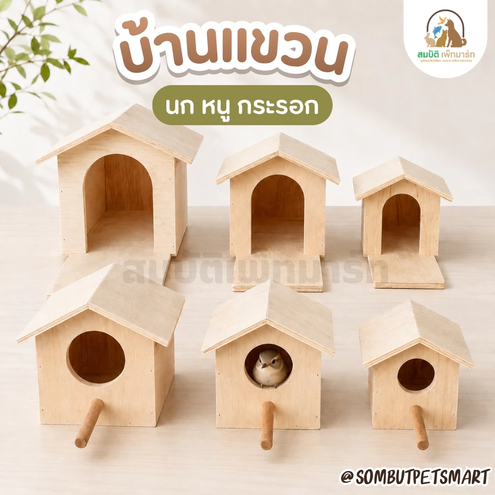 บ้านสัตว์เลี้ยง บ้านไม้ กล่องนอน บ้านนก บ้านกระรอก บ้านชูก้า บ้านแขวนต้นไม้