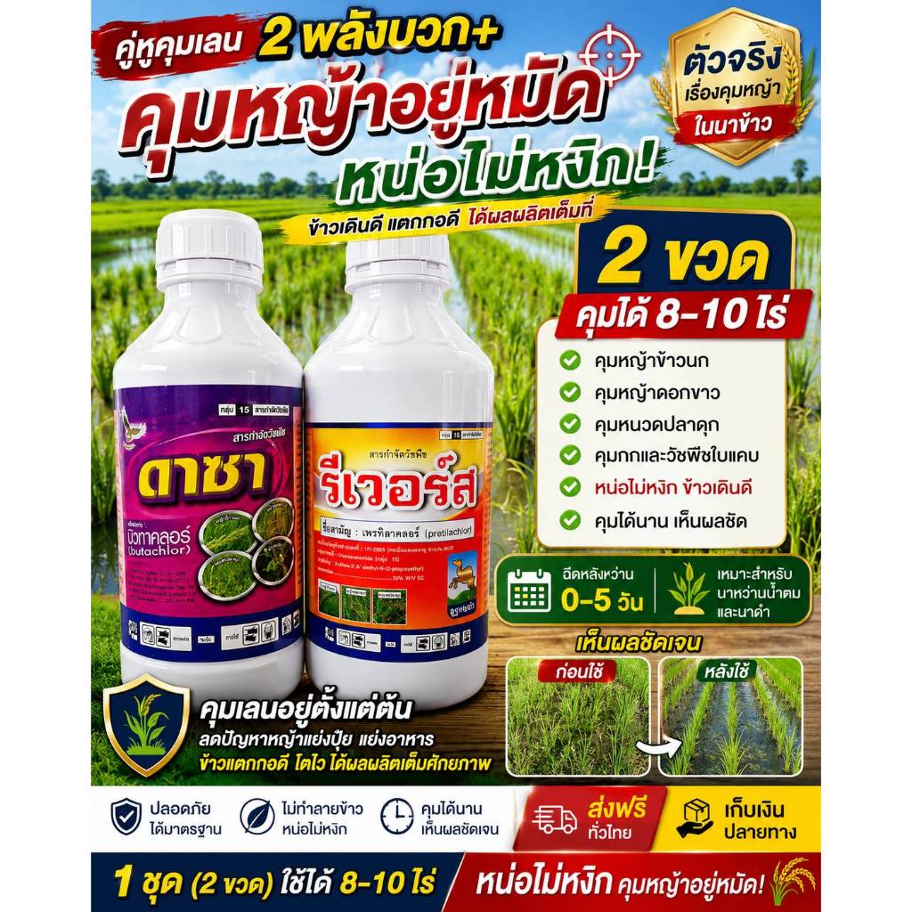 รีเวอร์ส + ดาซา  คุมเลนวัชพืชให้กว้างขึ้น โดยเฉพาะ  หญ้าข้าวนก หญ้าดอกขาว หญ้านกสีชมพู หนวดปลาดุก วัชพืชในนาข้าว 0-4 วัน