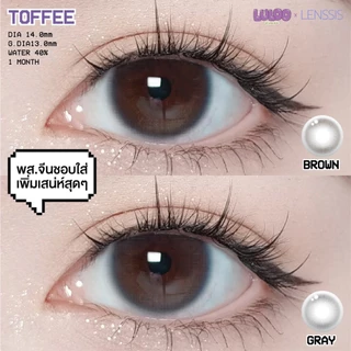 [ของแท้] คอนแทคเลนส์รายเดือน LULOO รุ่น Toffee ทอฟฟี่ เลนส์ตาละมุนสุด