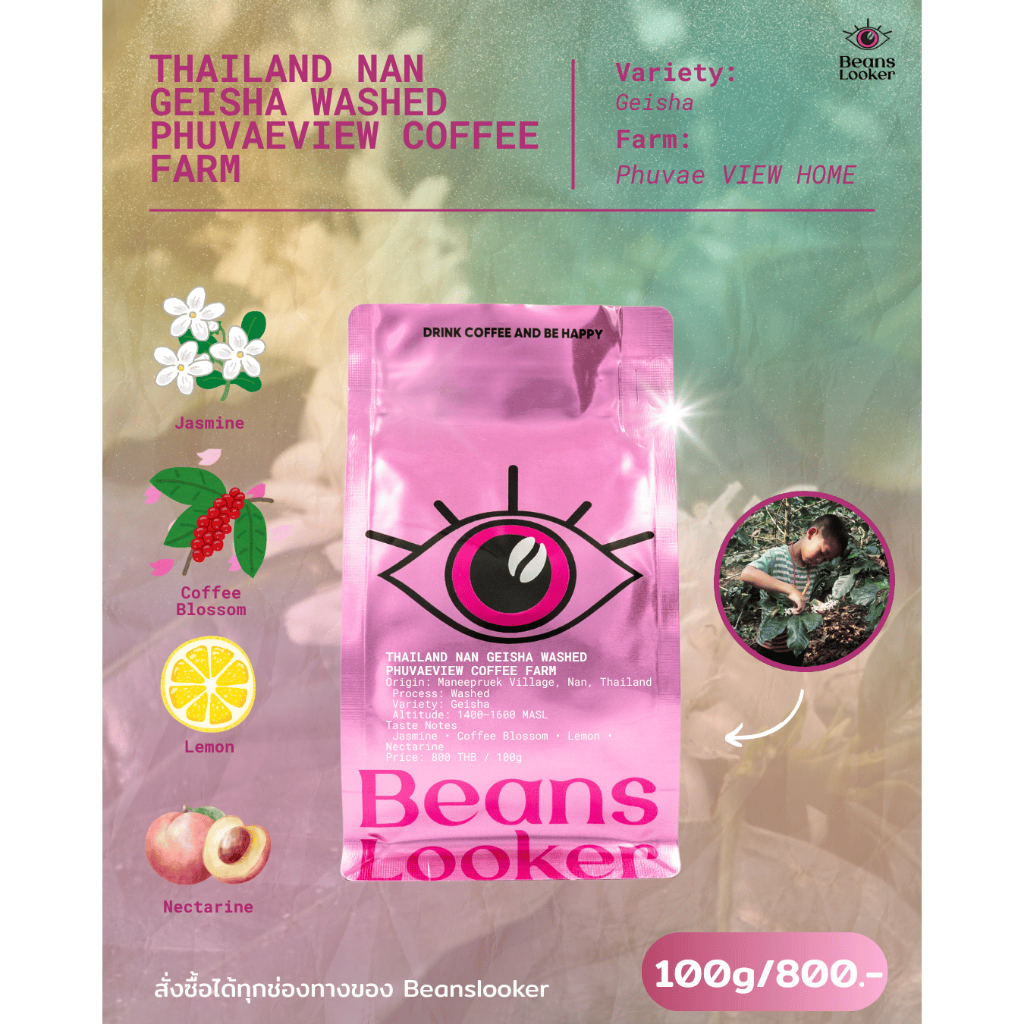 เมล็ดกาแฟคั่วอ่อน เกชา มณีพฤกษ์ น่าน | Phuvae View Geisha Washed | 100g