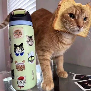 รุ่นลิมิเต็ด อิดิชั่น Owala FreeSip 24oz/32oz ลาย Cat Collage ขนาด - กระติกน้ำร้อนกันหก ดื่มได้ 2 แบบ จัดส่งฟรี