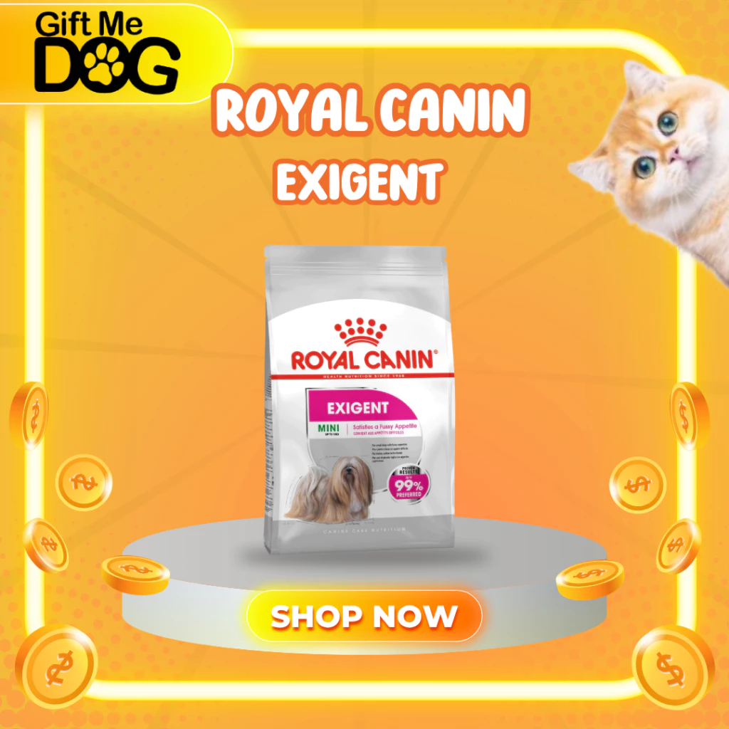Royal canin MINI EXIGENT 1kg,3kg อาหารสุนัขโต พันธุ์เล็ก ช่างเลือกอาหาร ชนิดเม็ด