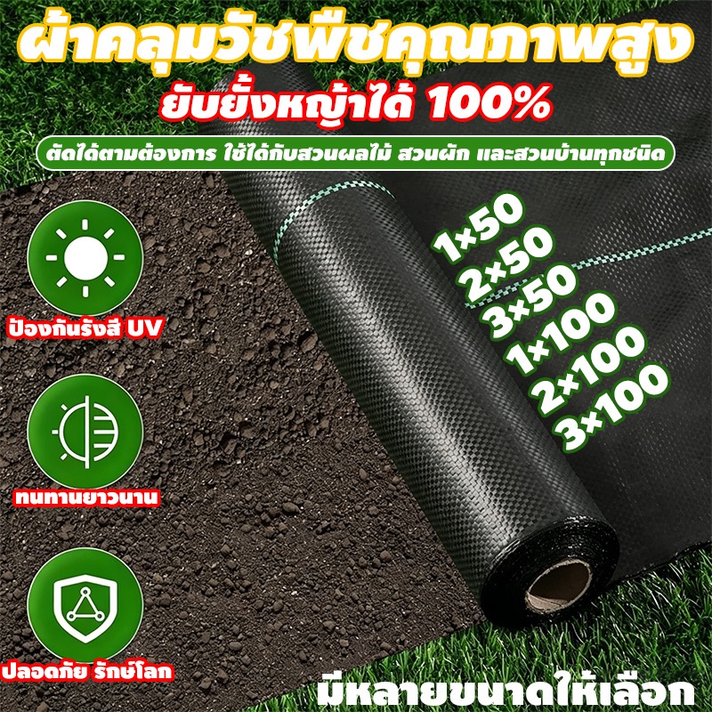 พลาสติกคลุมดิน พลาสติกคลุมวัชพืช กำจัดวัชพืช ผ้าคลุมวัชพืช พลาสติกเกรดส่งออก ผสมUV ฆ่าหญ้า ผ้าคลุมหญ้า 2×50/100M