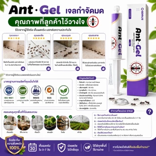 🐜พร้อมส่ง🐜Ant Gel เจลกำจัดมด กำจัดถึงรัง เห็นผลไว ปลอดภัย ใช้งานง่าย เจลล่อมด มดกินแล้วตายยกรัง ใช้ได้ทั้งบ้าน