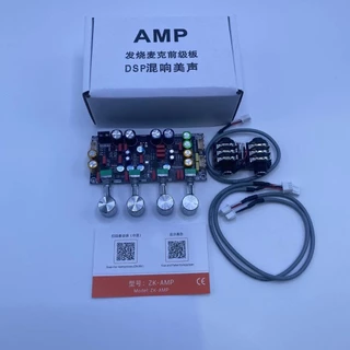 ZK-AMP2Gแก้เสียงดรอปของแท้ระบบDSPเสียงใสเอฟเฟคแท้