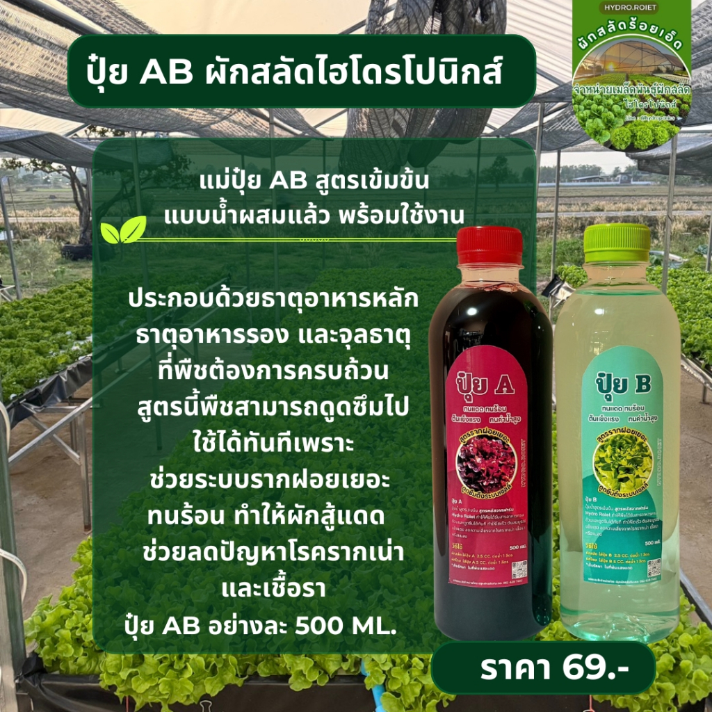 แม่ปุ๋ย AB เข้มข้น  สูตรน้ำ ปรับค่าน้ำ และระบบรากฝอย