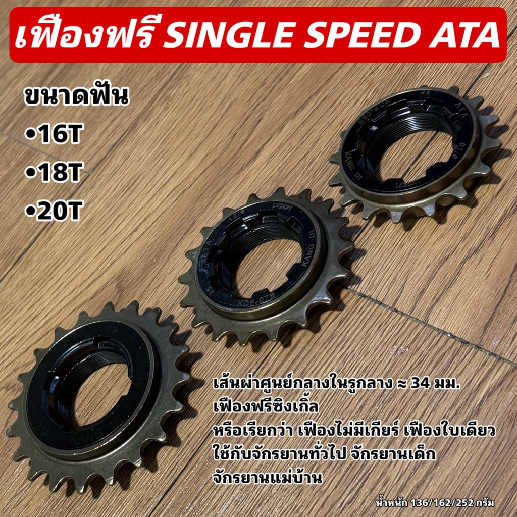 เฟืองฟรี SINGLE SPEED ATA