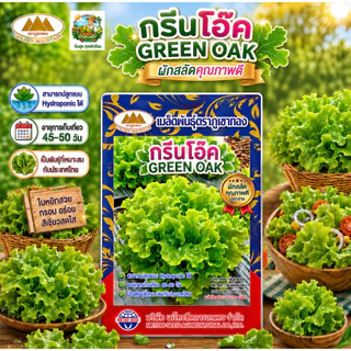 เมล็ดพันธุ์ ผักสลัด ตราภูเขาทอง (มากกว่า25ชนิด) เรดโอ๊ค กรีนโอ๊ค ผักเคล เคลใบหยิก บีทรูท มินิคอส ผัก