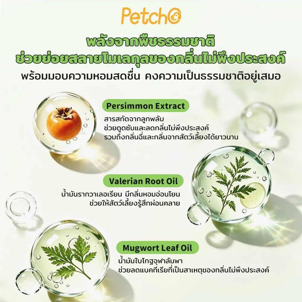 Petcho สเปรย์ดับกลิ่นสัตว์เลี้ยง ฉี่แมว ทรายแมว thumbnail 6