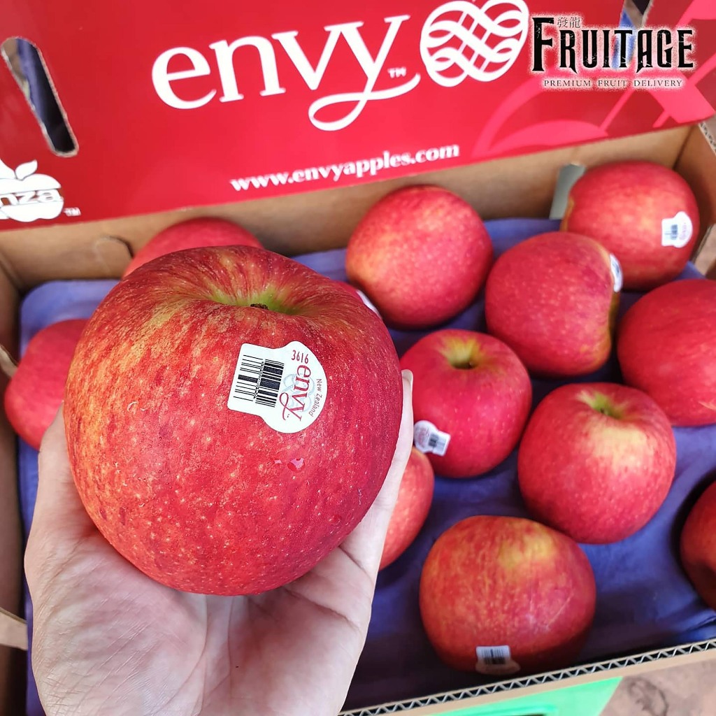 (1แพค) แอปเปิ้ลเอนวี่ ENVY APPLE (New Zealand) เอนวี่ นิวซีแลนด์ ผลไม้นำเข้า ~คัดพิเศษ~ Premium Envy Apples แอปเปิ้ลสด