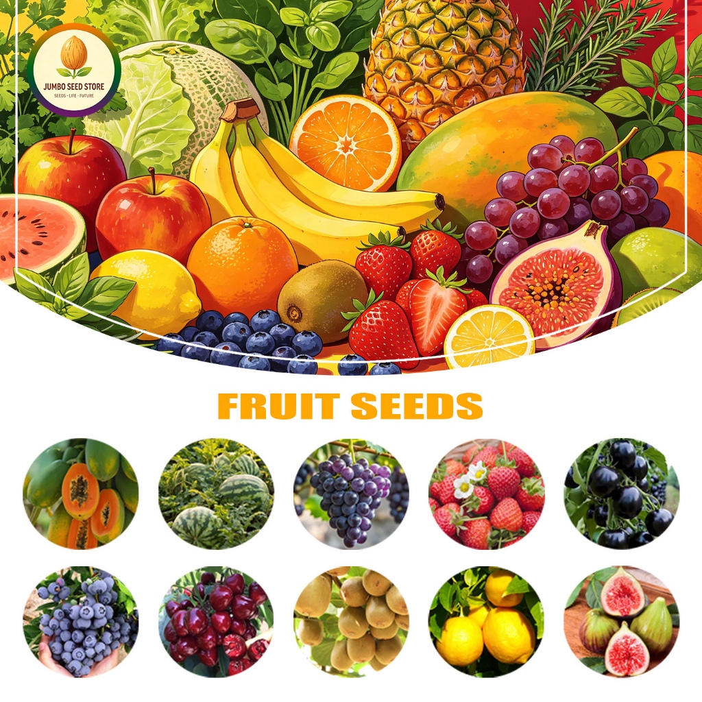 เมล็ดผลไม้ มะละกอ แตงโม สตรอว์เบอร์รี องุ่น กีวี /Fruit seeds Many categories High germination rate