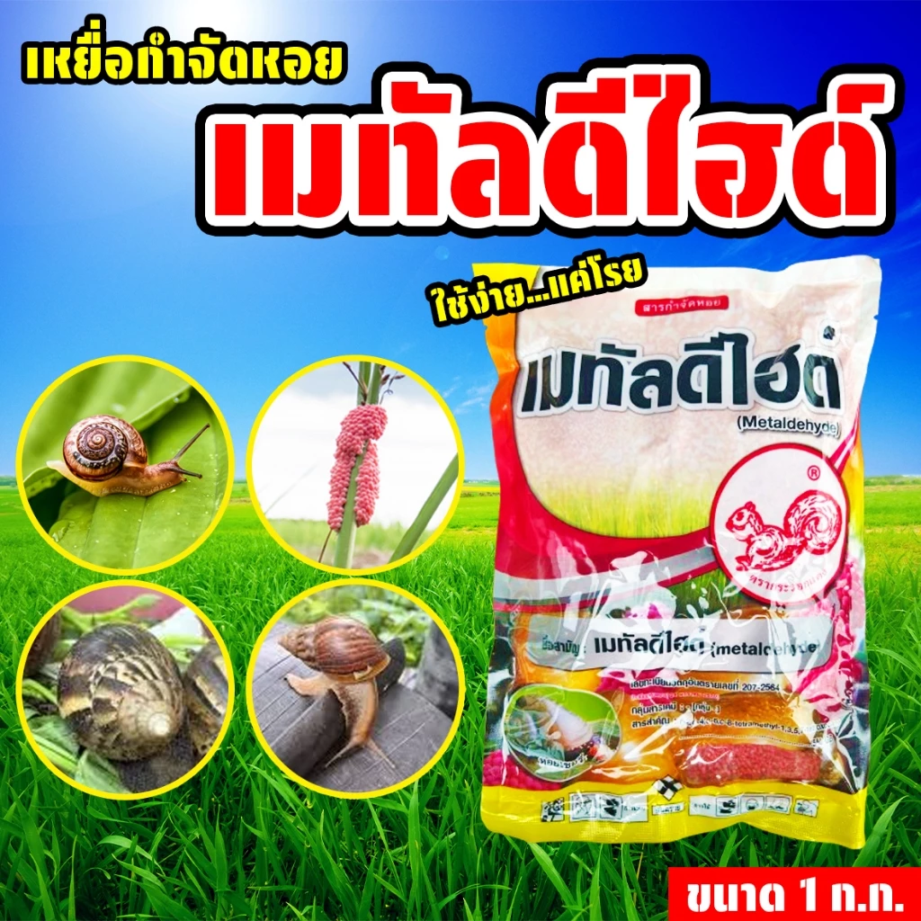 ยาฆ่าหอยทาก กำจัดหอยทาก 1 ก.ก. เมทัลดีไฮด์6% กำจัดหอยทุกชนิด ปลอยต่อสัตว์เลี้ยง ไม่มีสารตกค้าง