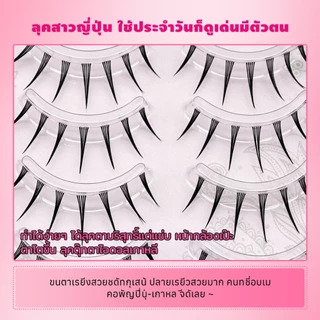 Dreehalo ขนตาปลอมญี่ปุ่น 4 รุ่นดัง ธรรมชาติ-หวาน-การ์ตูน แกนใส/ดำ ขึ้นกล้องปัง มือใหม่ห้ามพลาด F303