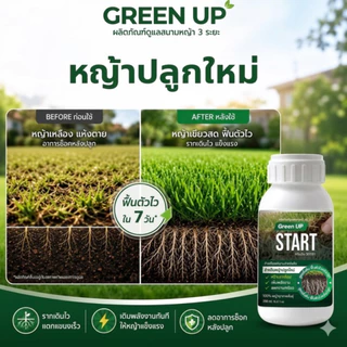Green UP START สำหรับหญ้าปลูกใหม่ หลังตัดหญ้า เร่งรากหญ้า หญ้าติดดี ฟื้นตัวไว แก้หญ้าโทรมหน้าร้อน