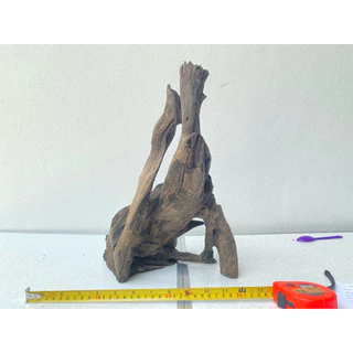 ไม้แต่งตู้ปลา สัตว์เลี้ยง Driftwood 30-50 ซม. เลือกชิ้นได้ จมน้ำทันที