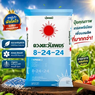 ปุ๋ย ดวงตะวันเพชร สูตร 8-24-24 ปุ๋ยคอมปาวด์ ขนาด 1 kg. ปุ๋ยเคมีเม็ดที่ให้ธาตุอาหารหลักครบถ้วน
